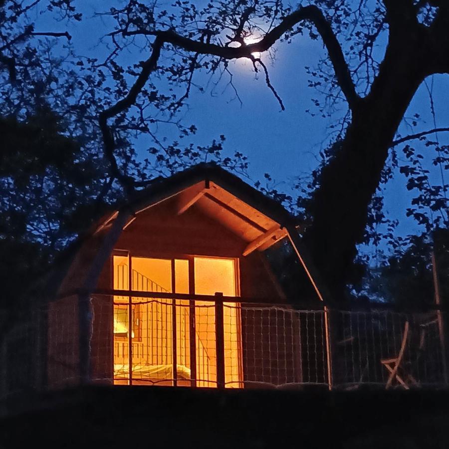 Chambres D'Hotes Au Chateau De Gizeux ภายนอก รูปภาพ